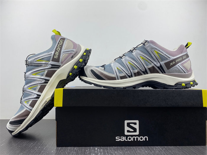 Salomon XT-6 412322
