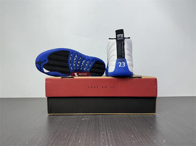 Air Jordan 12 Blueberry CT8013-140